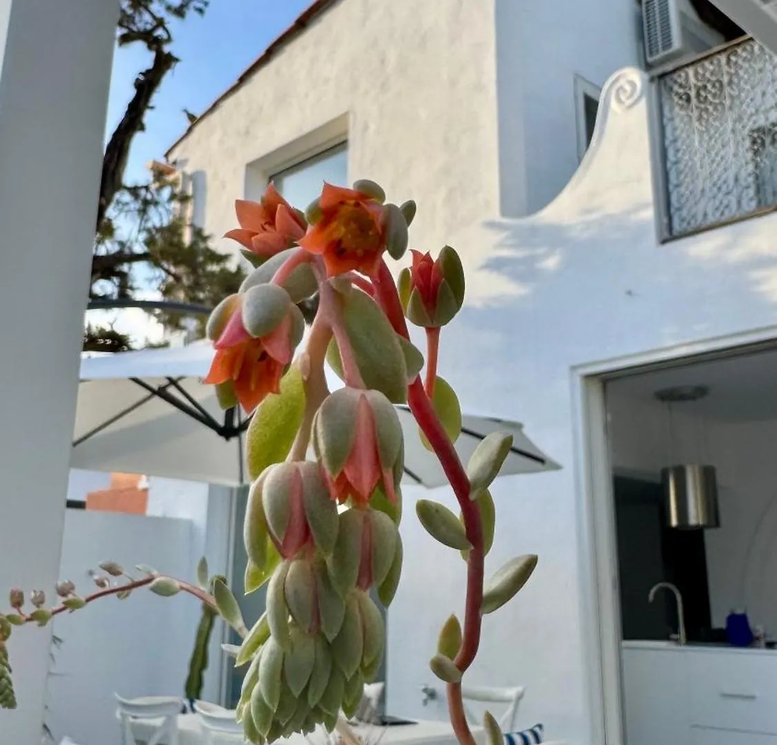 Casa Blu Marbella Villa 0*,