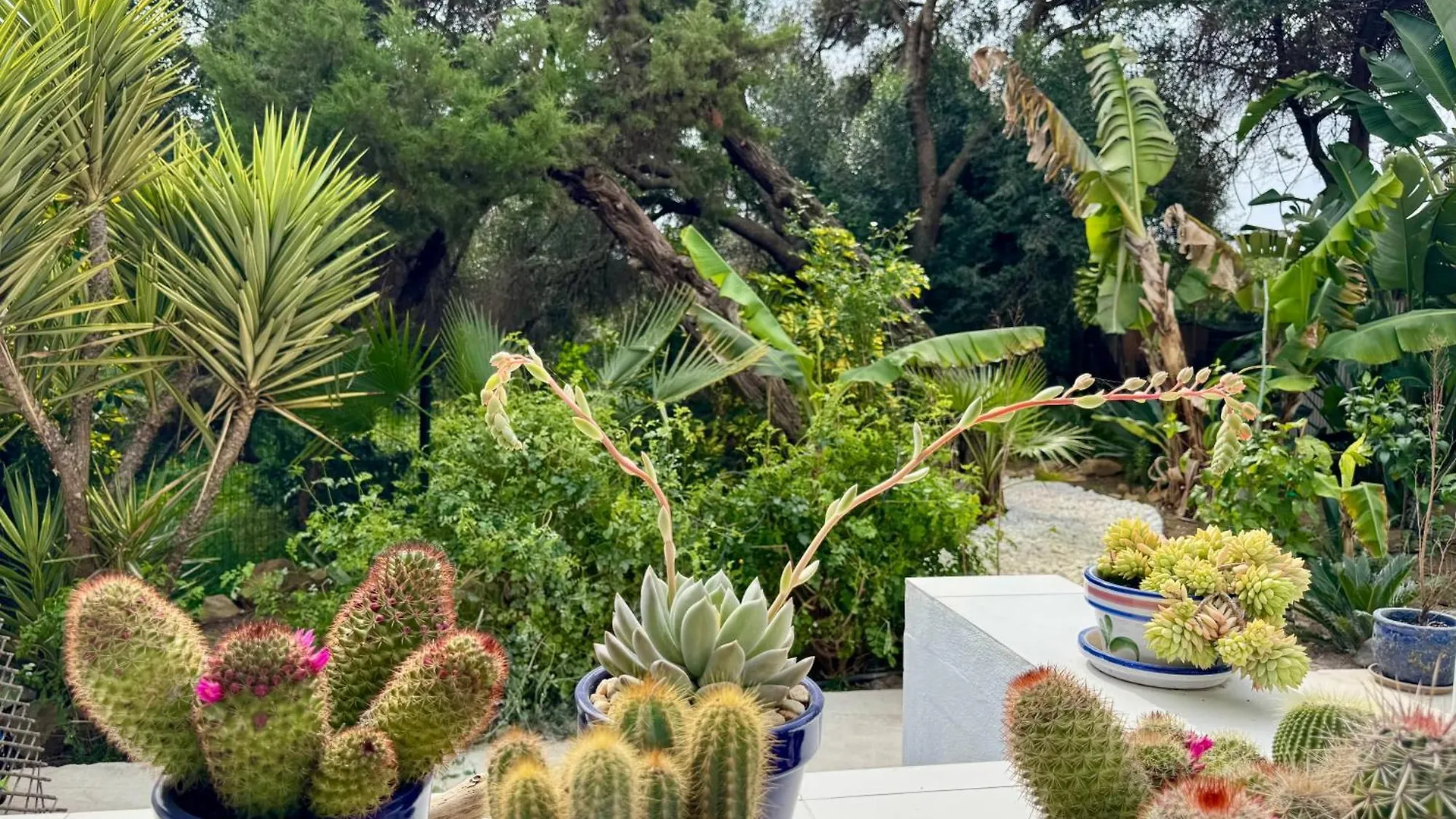 Holiday home Casa Blu Marbella Villa